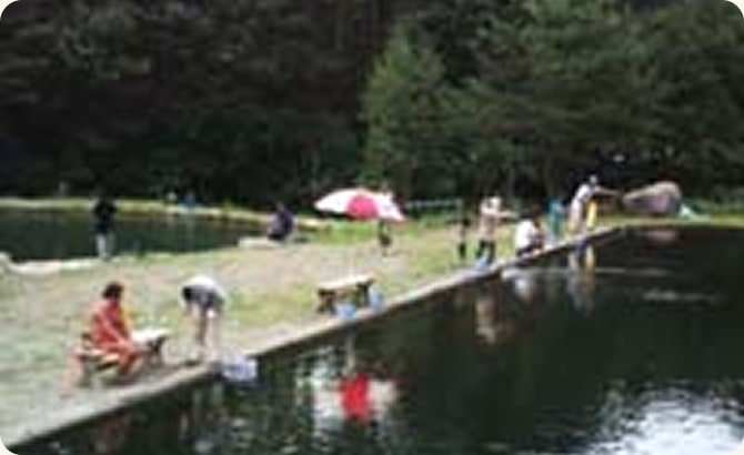 白州トラウトフィッシングエリア Shylph