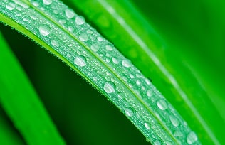 雨の日の楽しみ方