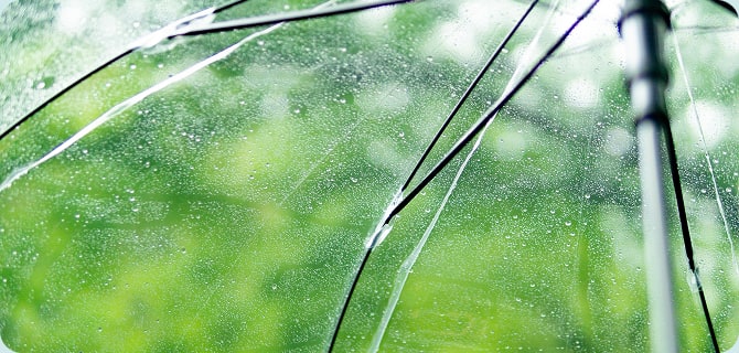 しっとりとした散歩