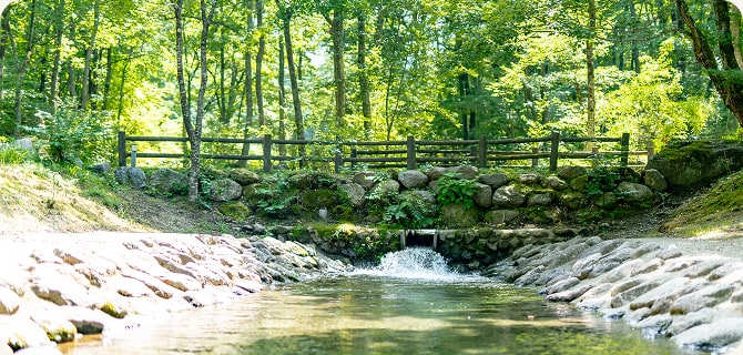 自然の中を歩く楽しみ