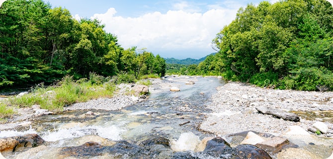 清らかな水と川遊び