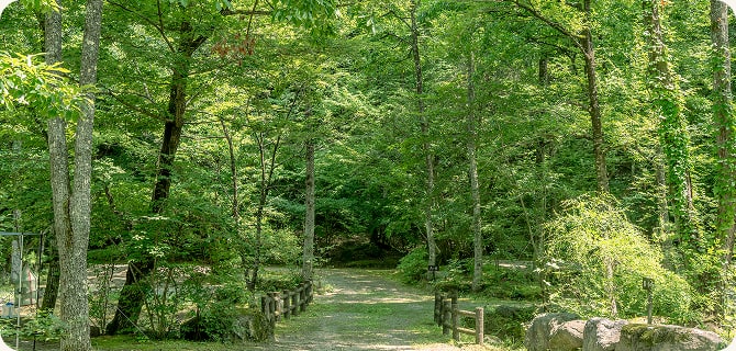 高原の涼しさで快適に