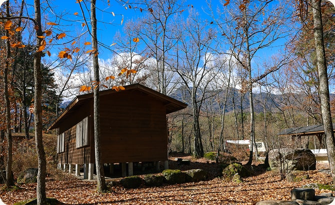 しらかば・さざんか