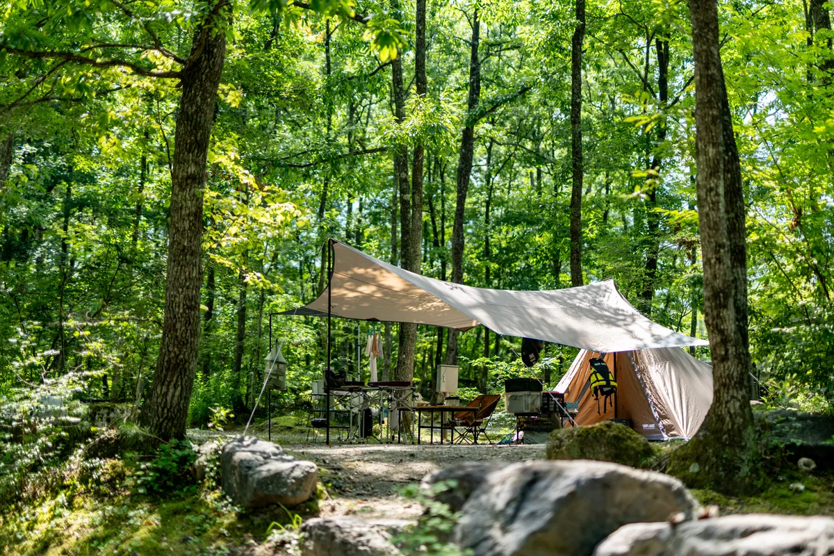 緑豊かな南アルプス三景園オートキャンプ場のテントサイト