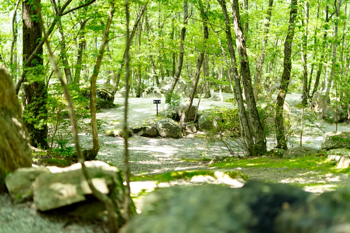 新緑が美しい南アルプス三景園オートキャンプ場内の庭園風景