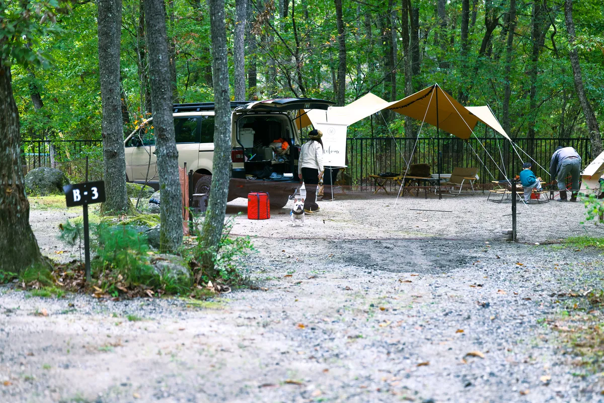 三景園オートキャンプ場のテントサイトに車を横付けして設営している様子