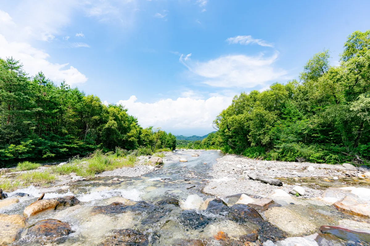 三景園付近を流れる木々に囲まれた清流