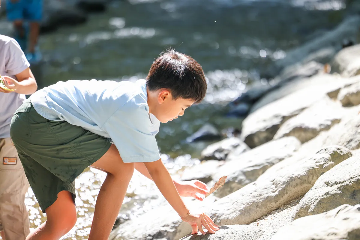 川辺の浅瀬で水遊びを楽しむ子ども