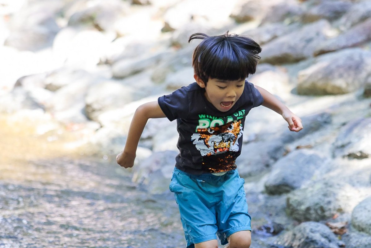 緑の木陰の川で遊ぶ子どもたち