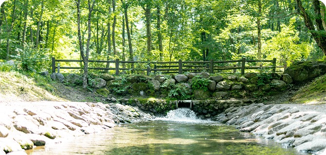 石橋のかかる清流