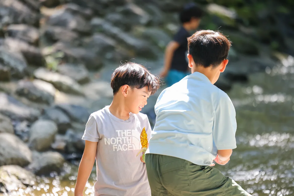清流の川辺で生き物を探す子どもたち