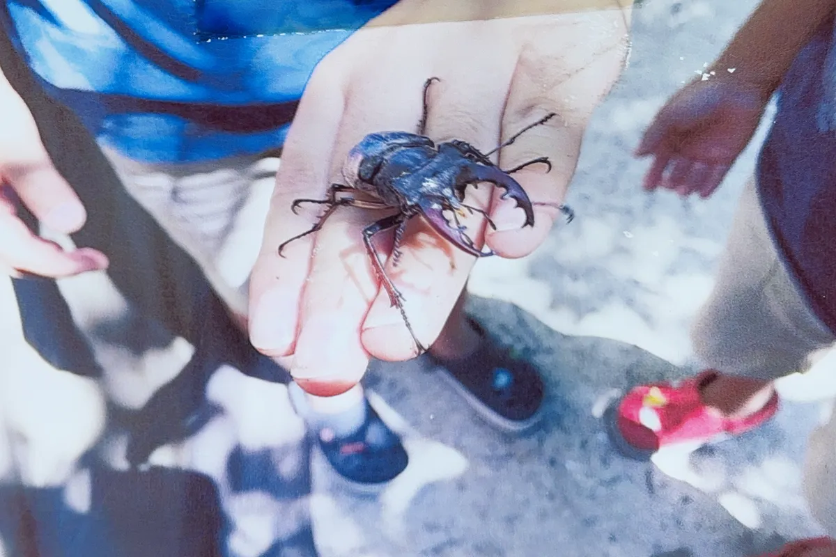 見つけた生き物を手にとって観察する子ども