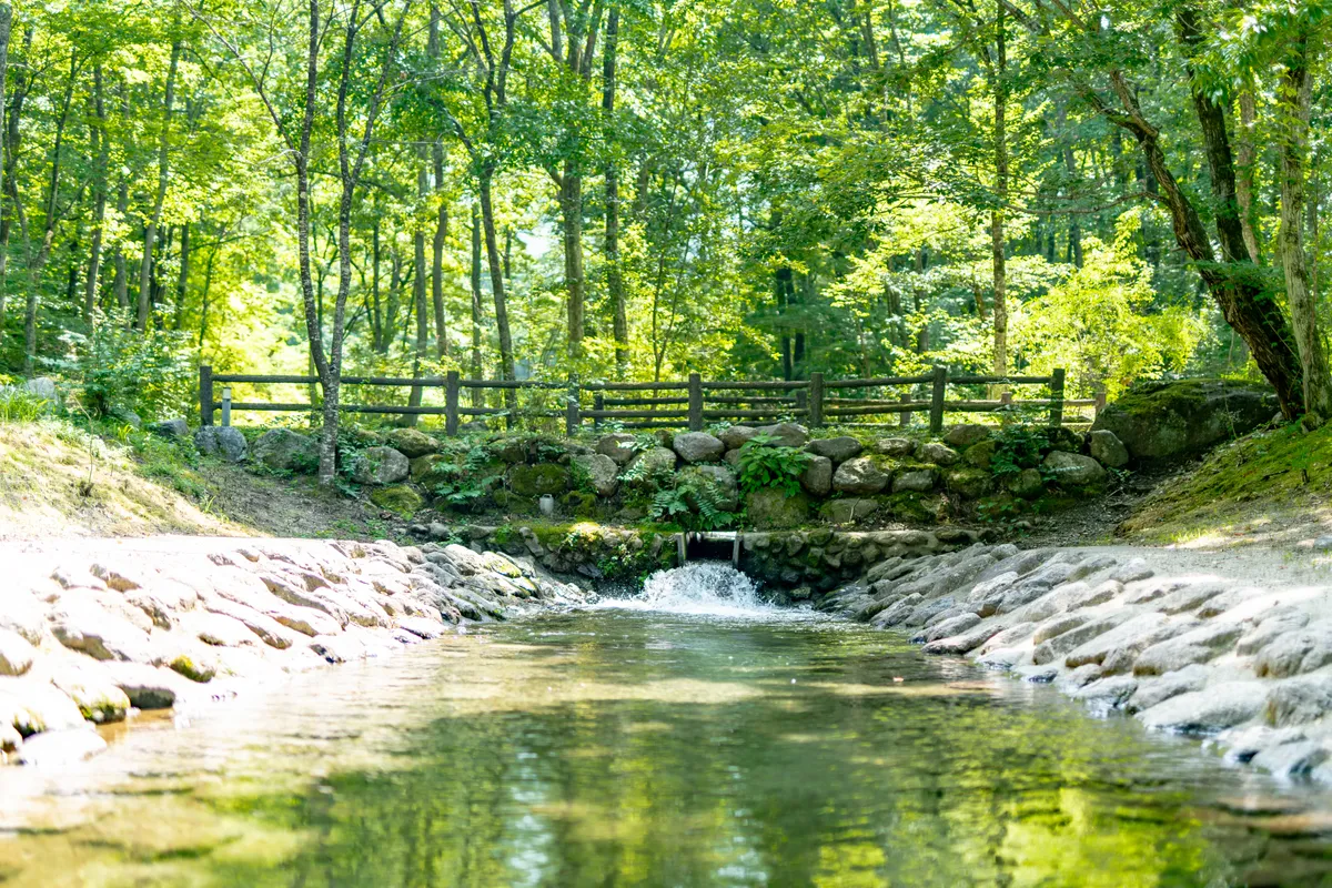 南アルプス三景園オートキャンプ場近くの清流の風景
