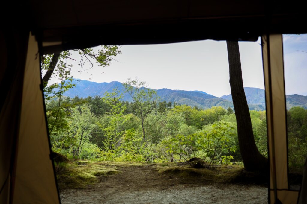 テントから見える美しい山並みと新緑の風景。