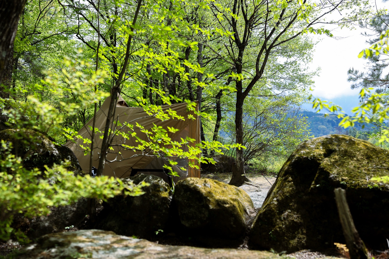 木々に囲まれた林間のテントサイトで涼しく過ごせる三景園の風景