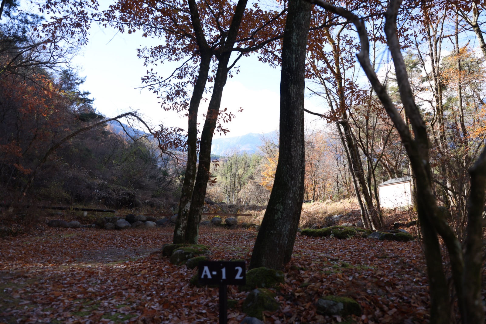 紅葉が色づき始めた三景園のサイトエリアと山並みの眺め