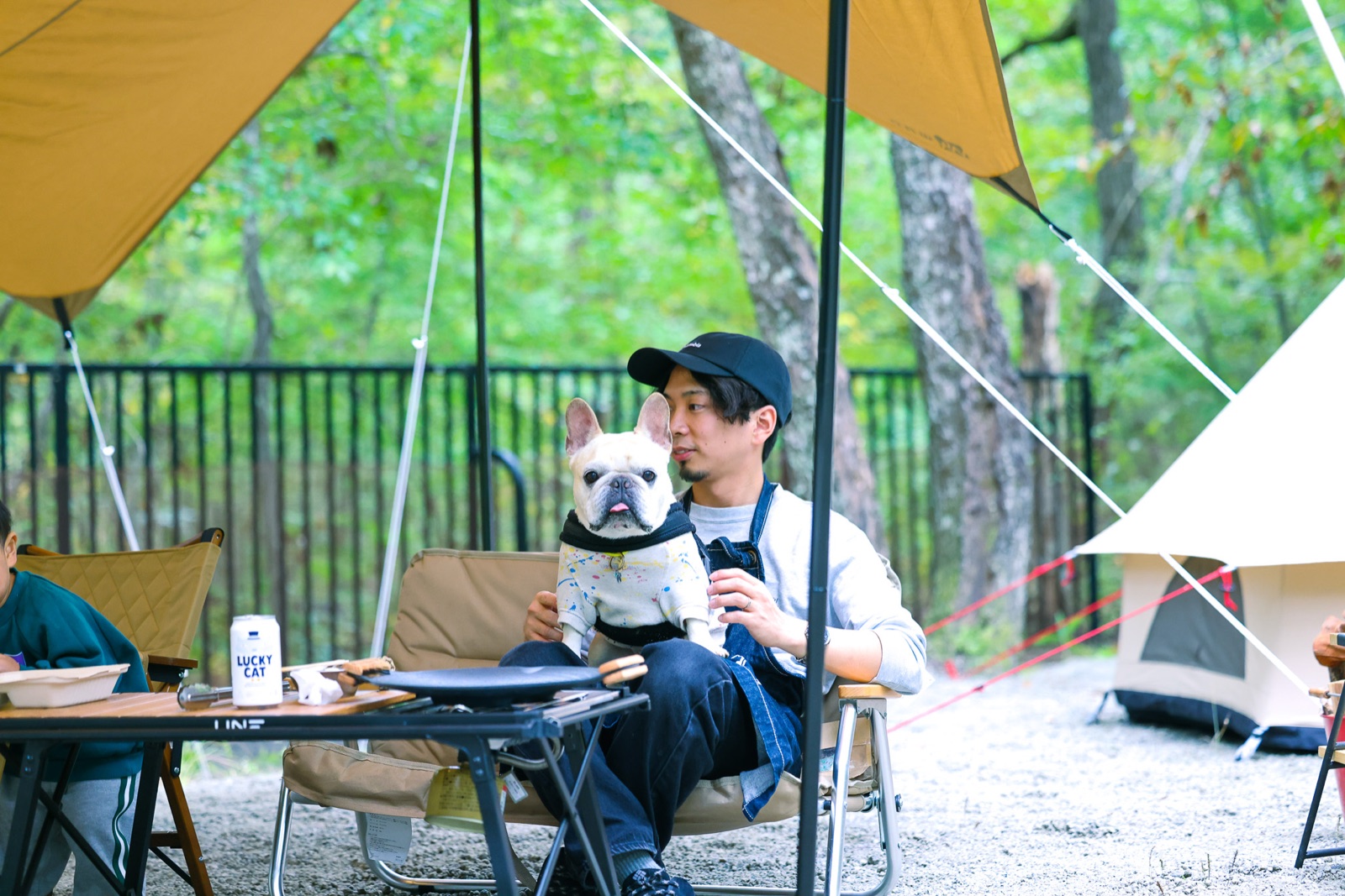 柵で囲まれたテントサイトで犬と過ごす人たち