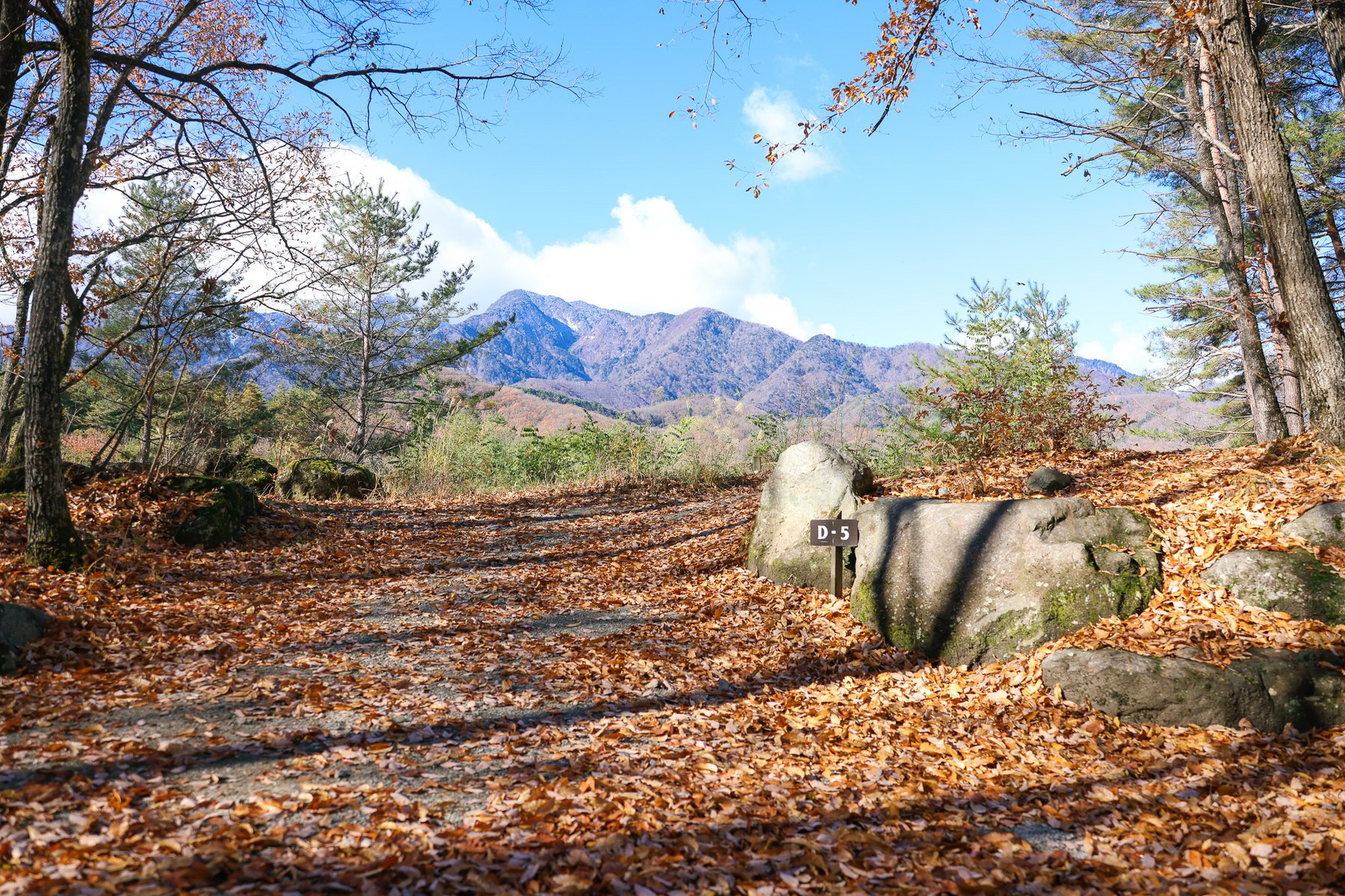 落ち葉が積もった三景園のサイトと南アルプスの山並み